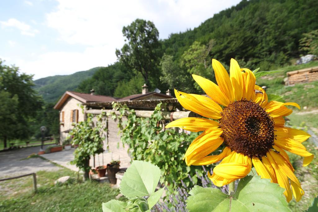 Bettola  Agriturismo Ca Sonino מראה חיצוני תמונה